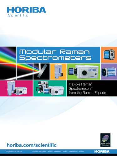 Modular Raman Spectrometers