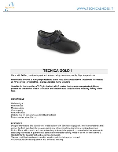 TECNICA GOLD 1