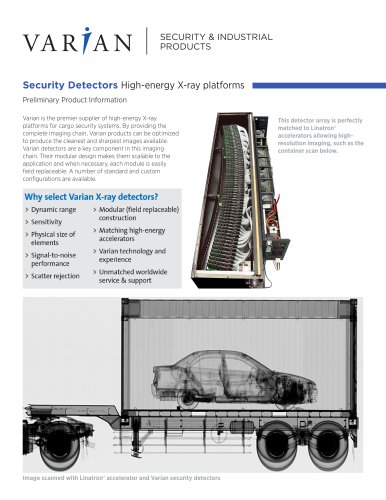 Security Detectors