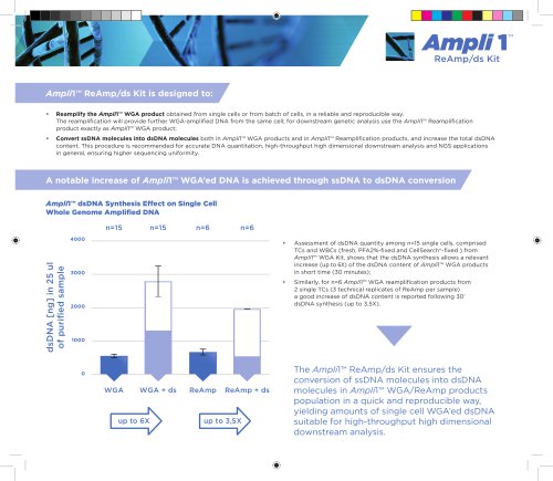 Ampli1™ ReAmp/ds Kit