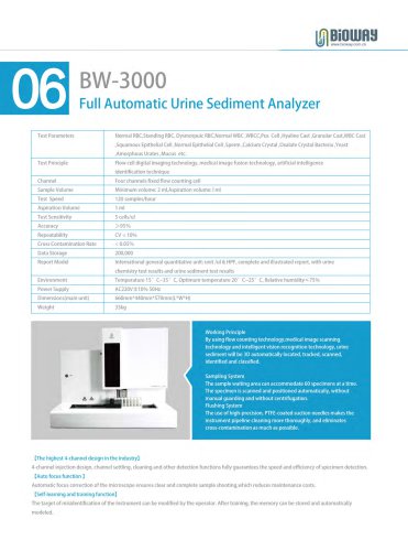 BW-3000