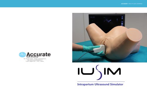 Intrapartum Ultrasound Simulator