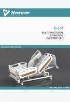 HYZ Five Function Electric Bed C-501