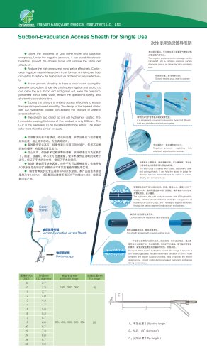 Renal access sheath