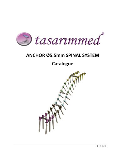 Anchor Spinal System