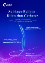 Subknee Balloon Dilatation Catheter