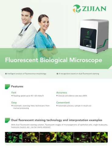 Gynecological Microbiological Automatic Scanning Analysis System