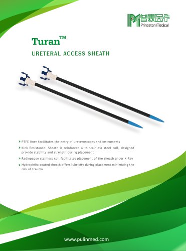 Turan-URETERAL ACCESS SHEATH