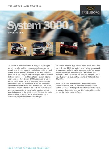 System 3000