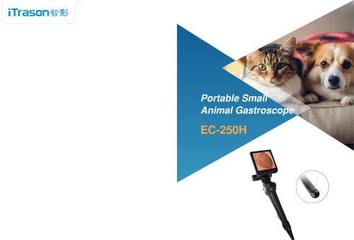 Veterinary gastroscope EC120