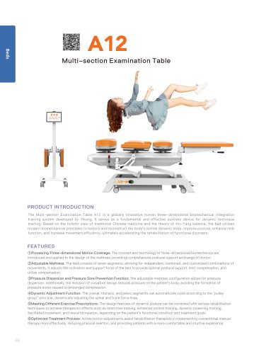 Yeecon A12 Multi-section Rehab Table