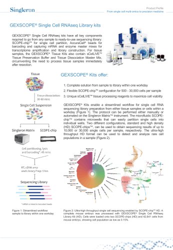 GEXSCOPE