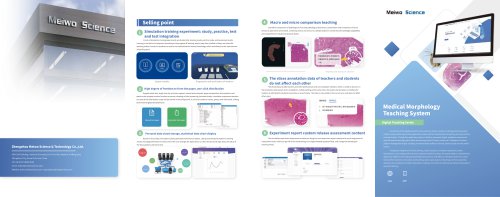 Medical Morphology Software