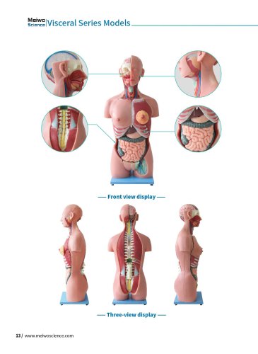 Visceral Series Models DS03,DS04,DS07,DS08,DS09,DS10,DS06,DS12,DS11,DS05,DS01,RS06,RS01,RS02,RS03,RS05,RS04,TA04,TA05