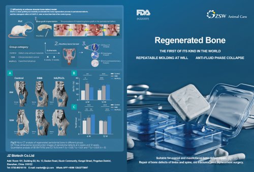 RB03 Regenerative Bone Brochure