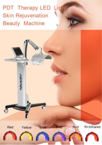 FDA version LED Facial Therapy-1