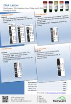 DNA Ladder