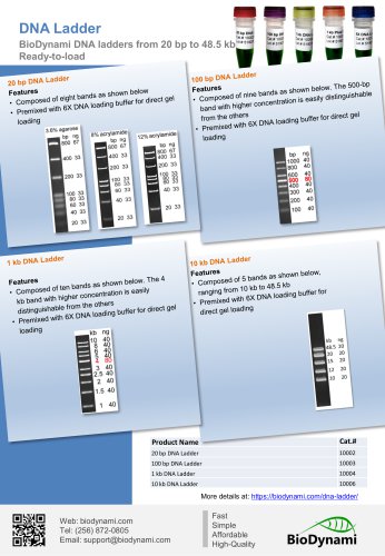 DNA Ladder