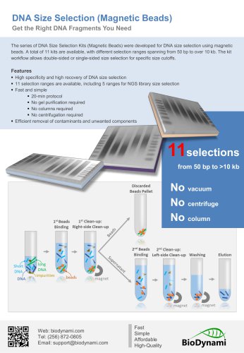 DNA Size Selection (Magnetic Beads)