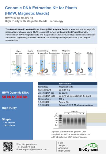 Genomic DNA Extraction Kit for Plants (HMW, Magnetic Beads)