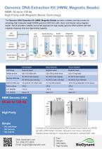 Genomic DNA Extraction Kit (HMW, Magnetic Beads)