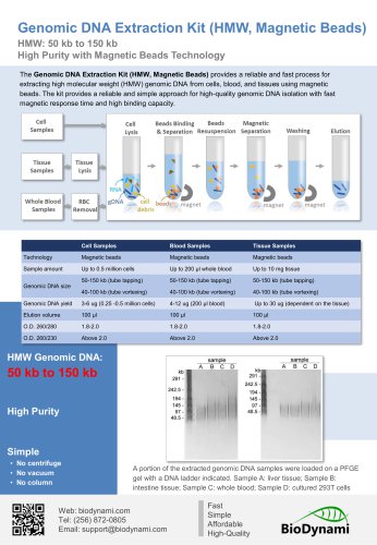 Genomic DNA Extraction Kit (HMW, Magnetic Beads)