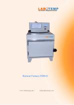 Burnout Furnace FDB-01