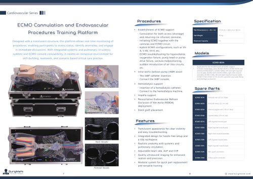 ECMO Cannulation and Endovascular Procedures Training Platform (EVAN)
