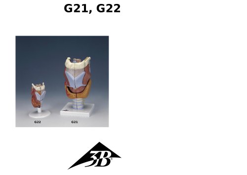 G21, G22