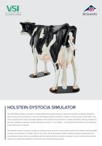 Sellsheet VSI 1025528