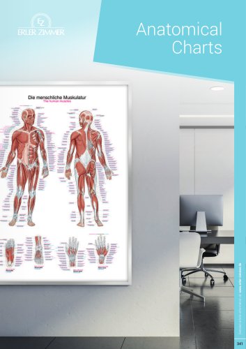 Anatomical Charts