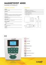 MagnetoVet 4000