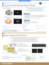 US-9 Ultrasound-guided Biopsy Phantom