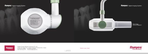 Dental X Ray