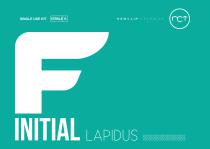 Initial F™ - Lapidus kit