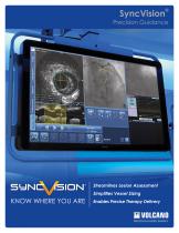 SyncVision