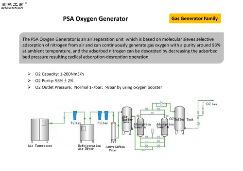 Blackfish oxygen plant,medical oxygen generator,BFFO