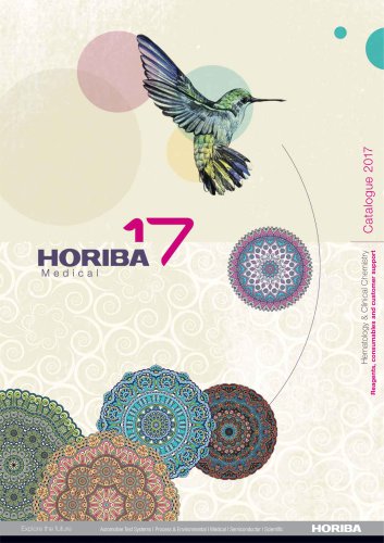 Horiba 17