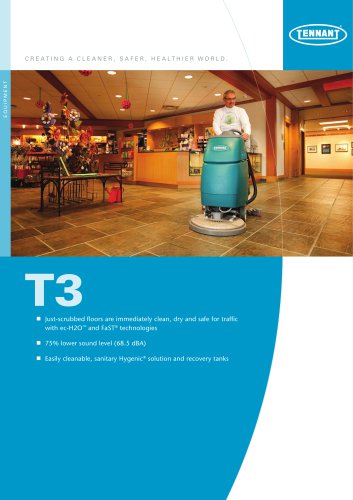 T3