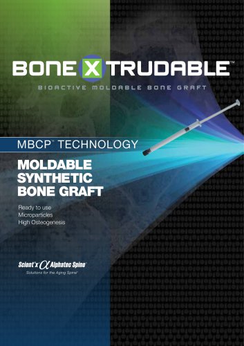 Moldable Synthetic  Bone Graft