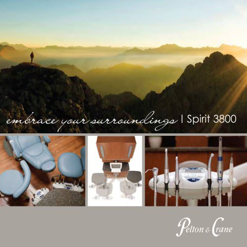 Spirit 3800 Delivery Unit Brochure