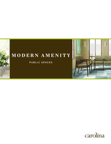 MODERN AMENITY