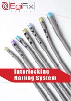 Egifix Interlocking Nails Catalogue