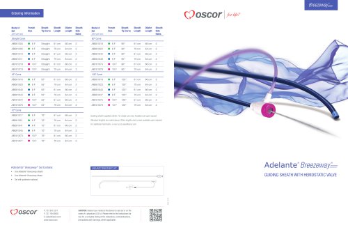 Adelante Breezeway GUIDING SHEATH WITH HEMOSTATIC VALVE