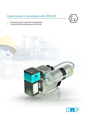 Liquid pumps in accordance with ATEX 95